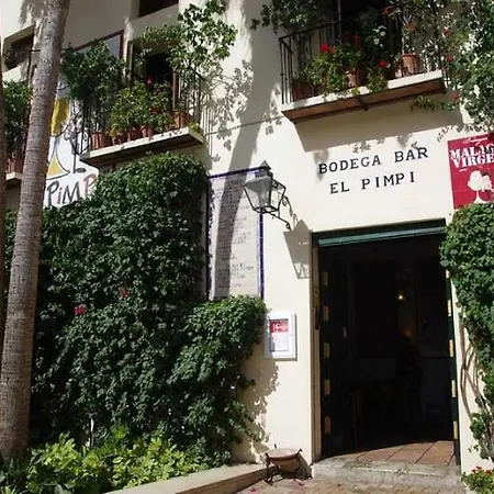 Apartamento Apartamento Con Encanto 'larios Studio' Málaga