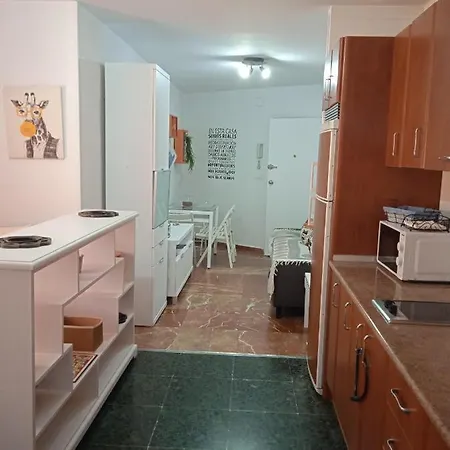 Apartamento Con Encanto 'larios Studio' *