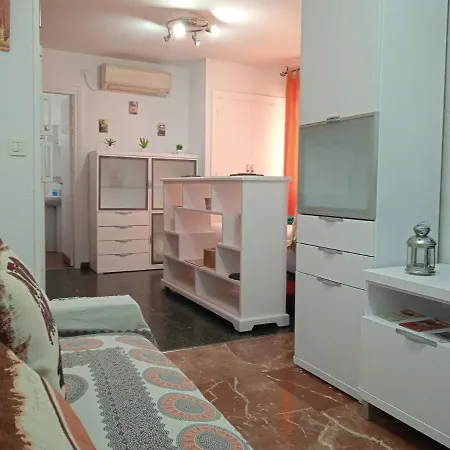 Apartamento Con Encanto 'larios Studio' Apartment