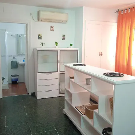 Apartamento Con Encanto 'larios Studio'
