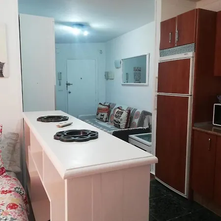Apartamento Con Encanto 'larios Studio' *