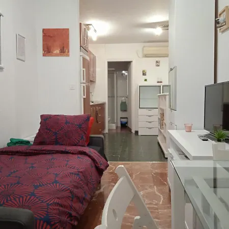 Apartment Apartamento Con Encanto 'larios Studio' Malaga