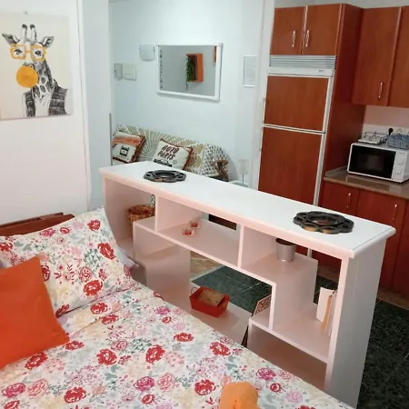 Apartamento Con Encanto 'larios Studio' Apartment