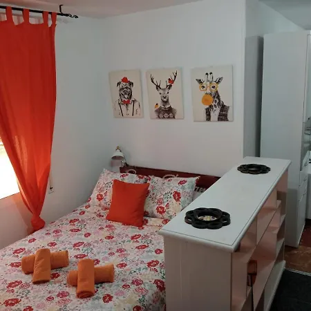 Apartamento Con Encanto 'larios Studio' *