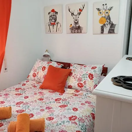 Apartamento Con Encanto 'larios Studio'