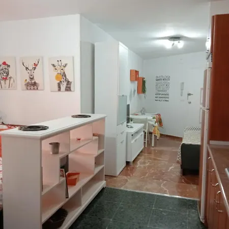 Apartamento Apartamento Con Encanto 'larios Studio'