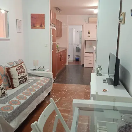 Apartment Apartamento Con Encanto 'larios Studio' Malaga