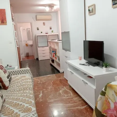 Apartment Apartamento Con Encanto 'larios Studio' *
