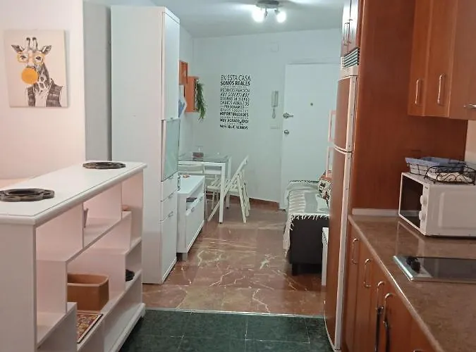 Apartamento Con Encanto 'larios Studio' *