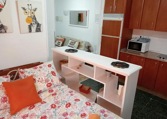 Apartamento Con Encanto 'larios Studio' Apartmán