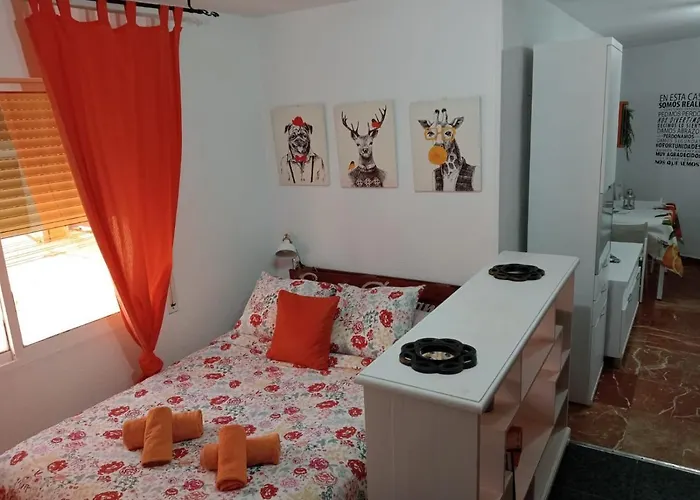 Apartamento Con Encanto 'larios Studio' *